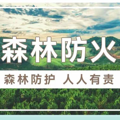 巫山县安宜小学森林防火致家长朋友们的一封信