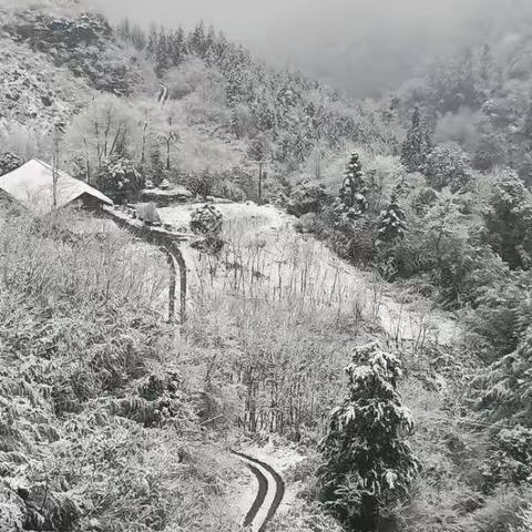 武舞的美篇