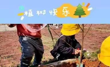 花样年国际幼稚园K1A班第三周《春暖花又开🌸》