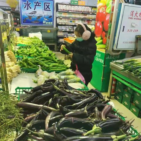 研学实践带我开阔视野
