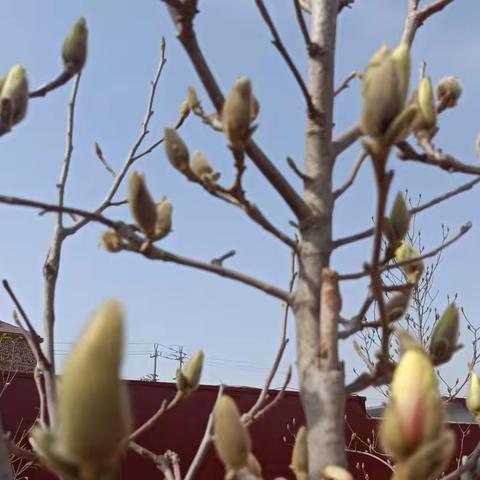 六三班学生书法作品