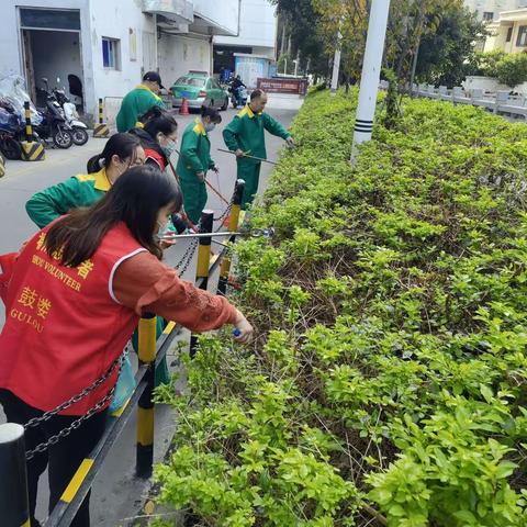 开展“家在鼓楼，靓丽过年”河长制宣传暨河道保洁活动