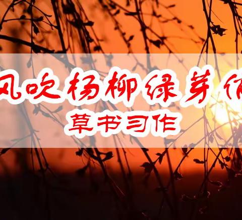 风吹杨柳绿芽俏 草书习作