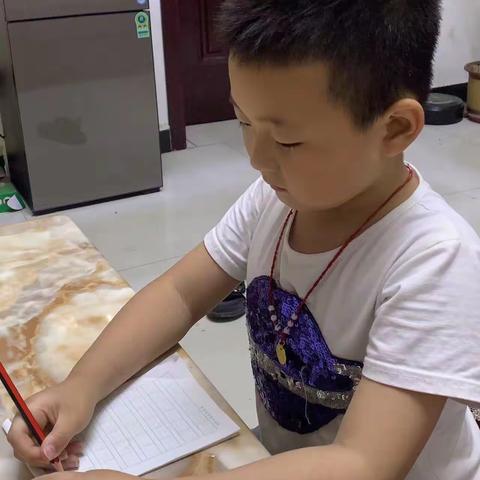 小小铅笔手中握，身正坐姿我把握——大埝村幼儿园大班坐姿打卡情况