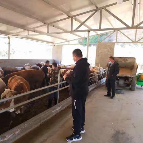 定昌镇4月9日工作动态