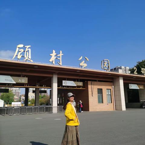 2022.11.2听说顾村公园最近粉黛子草盛开着柔柔的花絮，很美！虽说疫情期间不敢游走，但我还是“冒险游”了