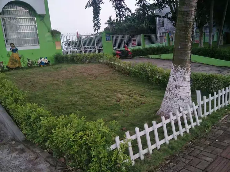 贝迪堡幼儿园2019年春季开始招生啦!