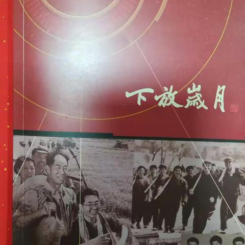 半个世纪惊回首，下放岁月终难忘。