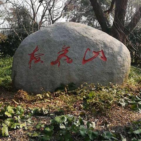 惠风和畅，踏春放歌。梅花山上，万紫千红。风光无限，暗香怒放。