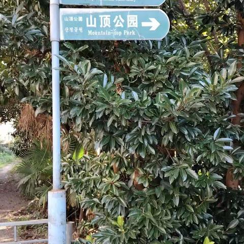 绿荫覆满山，天然氧吧林。茂竹翠山间，行走快如风。休闲观古迹，停下会友人。快哉！妙哉！