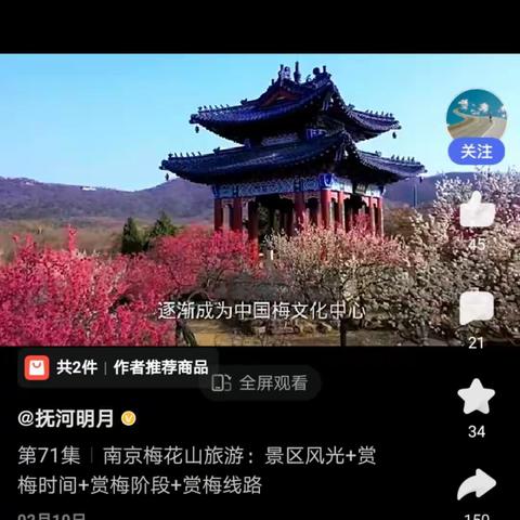 春风吹暖南京城，花海如潮梅花山。疫情三年困境地，如今全国放开行。结伴同行舒欢心，赏花赏景最佳时!