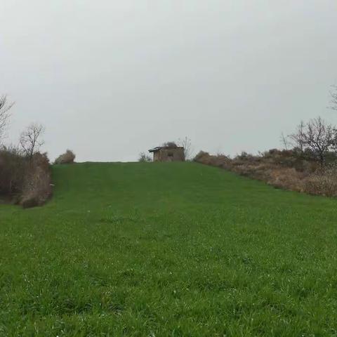 人间有味是清欢 ——关中的镇，农村的集。