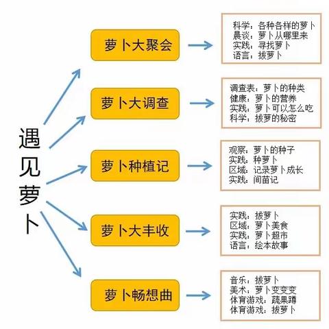 【课程故事】遇见 萝卜——佳诺智慧托育中心课程故事