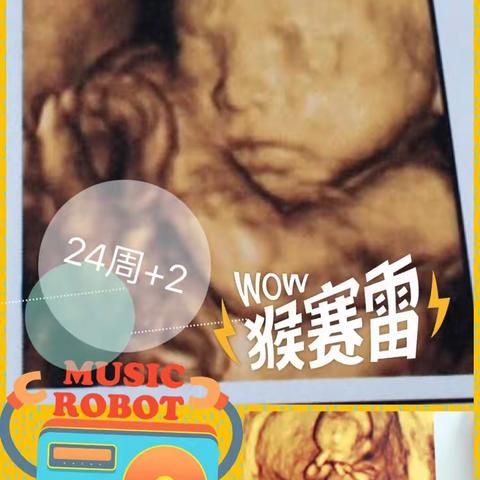 柯珂文的生活录