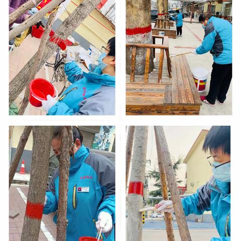 新年到给树木🌲也穿上漂亮外套