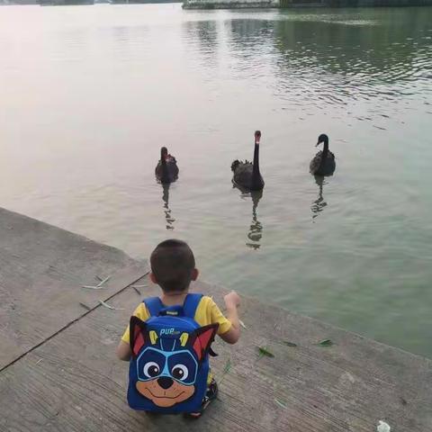 扣好幼儿劳动教育的第一粒扣子