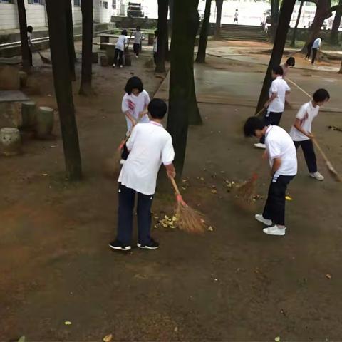 丰富多彩的一天
