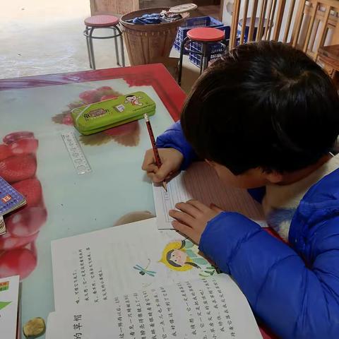 疫路有我——天马二小二（5）班章智轩的宅学习宅生活