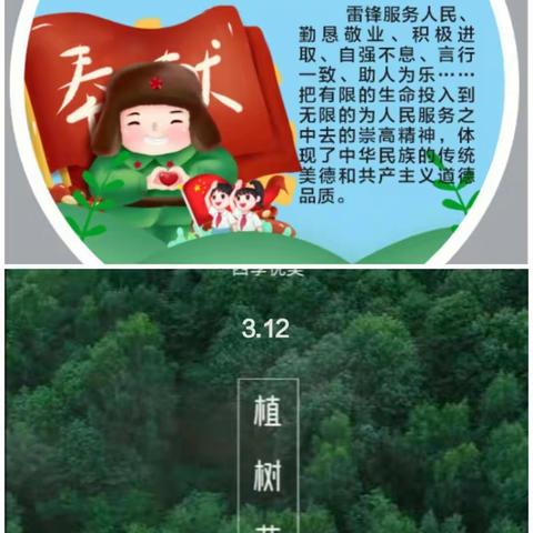 “学雷锋，植树护绿”，我们在行动