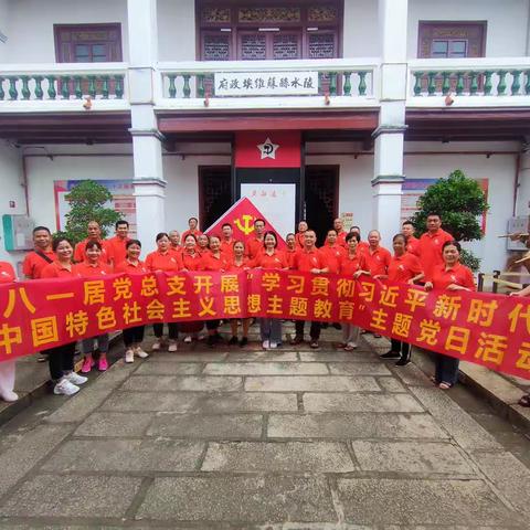 雅星镇八一居2023年开展庆“七一”建党102周年系列党日活动