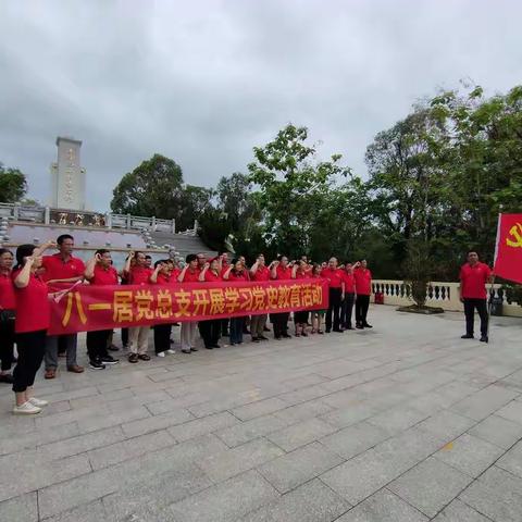 雅星镇八一居开展庆“七一”建党100周年党日活动