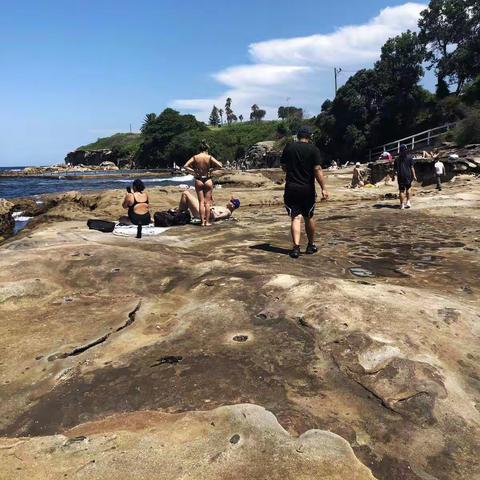 悉尼马拉巴沙滩（Malabar Beach）半天游