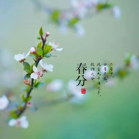 花意枝头闹 相约春分好———修武县第二实验小学二十四节气之春分课程