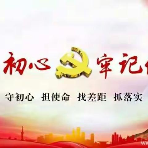 区统计局召开“对照党章党规找差距”专题会暨“对照先进找差距、检视问题促提升”主题党日活动