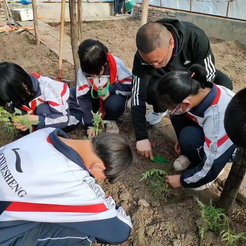 体验劳动之美，共享劳动喜悦—乌兰察布市集宁区新华街小学劳动实践基地活动纪实