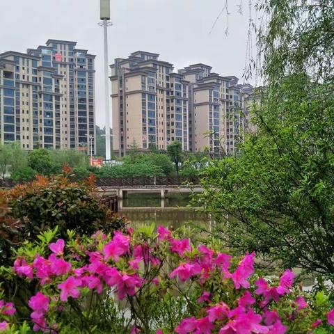 美景何处觅，锦阳广场到处有