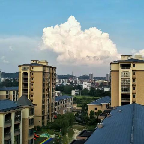 金色家园我的家