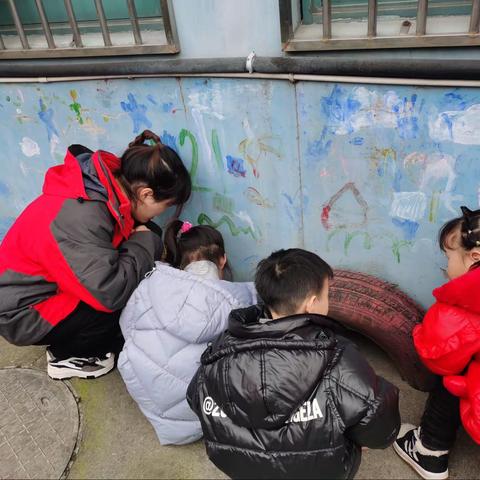 【南浔镇堰四幼儿园】中四班课程故事——🐜探讨小蚂蚁的家🐜