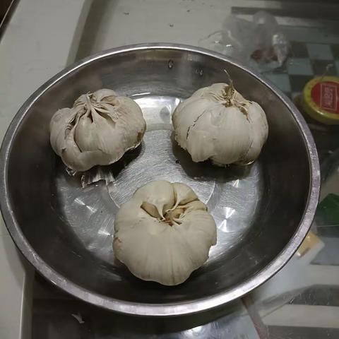 大蒜成长记 9月27日  星期三 阴    观察者:四二班李名舒 指导老师:王璇