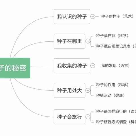 【黄果果项目式活动】种子的秘密