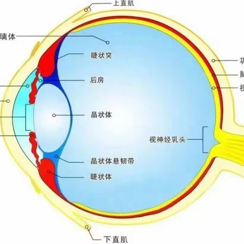 “宅”家生活，“疫”起护眼——乌达区第三幼儿园居家护眼指南