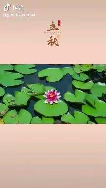 节气小知识——二十四节气之《立秋》