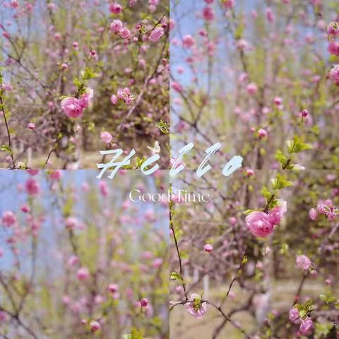 山河无恙 人间皆安，心医人紧急集结奔赴晋源区核酸检测