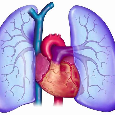 肺动脉高压与肺栓塞的区别