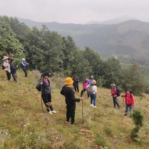 徒步穿越凤龙山，漫步秋色草原🐏🐄