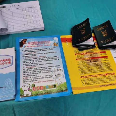 【漳浒寨街道】漳浒寨街道组织开展动物免疫宣传及狂犬疫苗补打工作