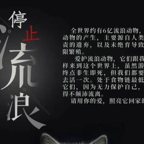 关爱流浪动物，温暖地球家园