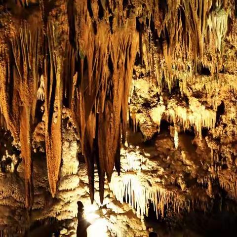 美国东南行（一） 2022.5月