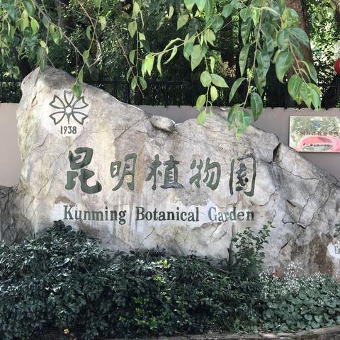 《精彩的花花世界》摄影制作：       一徐贵春    二零二零年五月五日