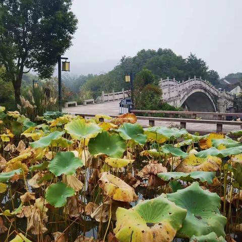 探访唐诗之路--（4）绍兴兰亭