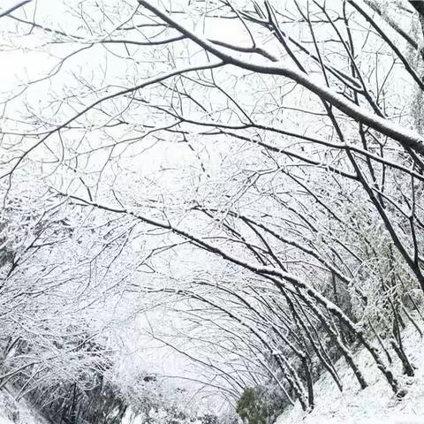 江南雪，轻素剪云端