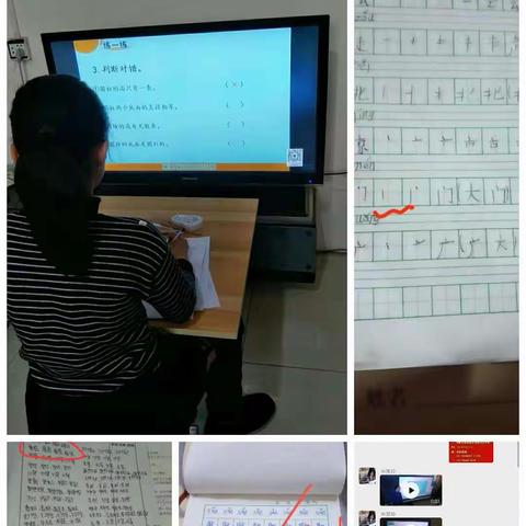 西阳邵中心小学2月12日“停课不停学”学习在线