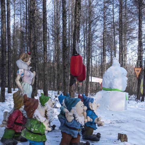 冰雪画廊，龙江雪域高富美