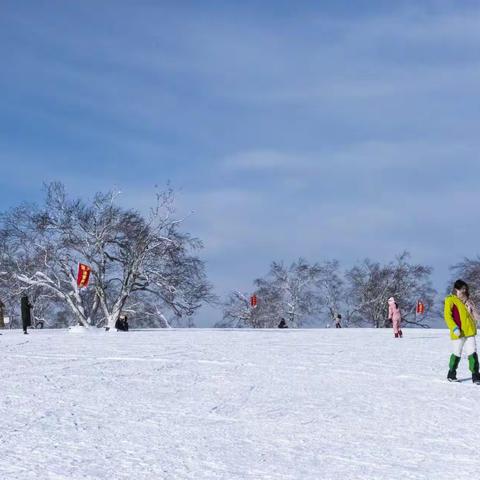 秀美大秃顶子山