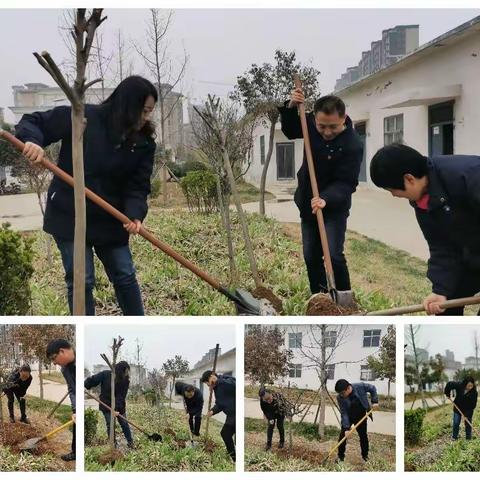 你栽一棵树，我献一片绿，共建美好厂区，共享美好生活