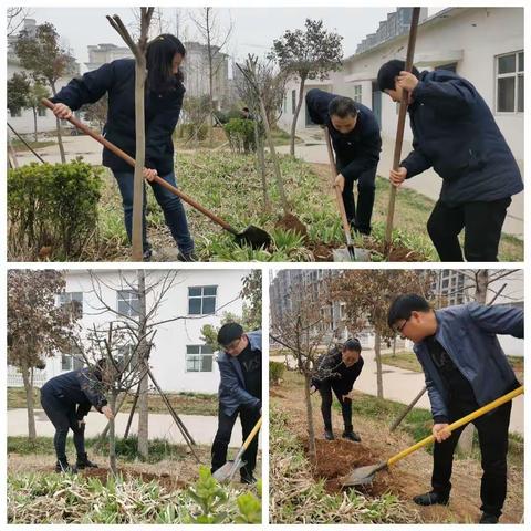 植树添绿正当时